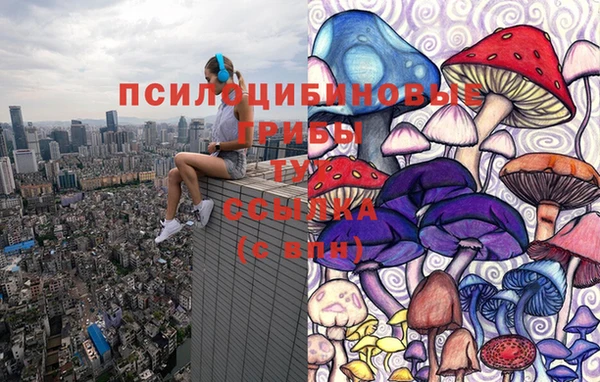 гашик Новодвинск