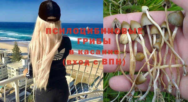 стафф Нязепетровск