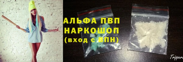 гашик Новодвинск