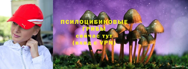 мескалин Няндома
