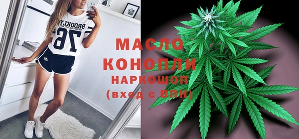 гашик Новодвинск