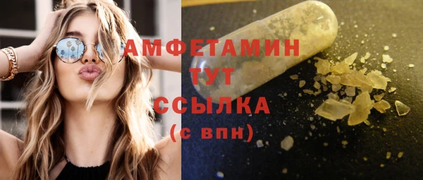 гашик Новодвинск