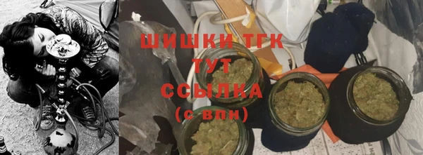 гашик Новодвинск