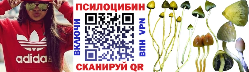 Псилоцибиновые грибы прущие грибы блэк спрут вход Брюховецкая