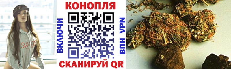 Конопля семена  Брюховецкая 